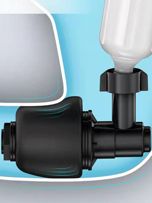 image for this item
