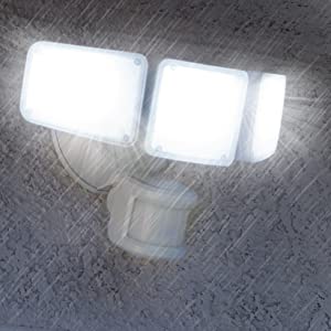 image for this item