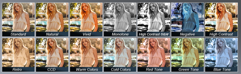 Rich multi-color filter presets for portrait video photography