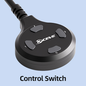 Button Switch
