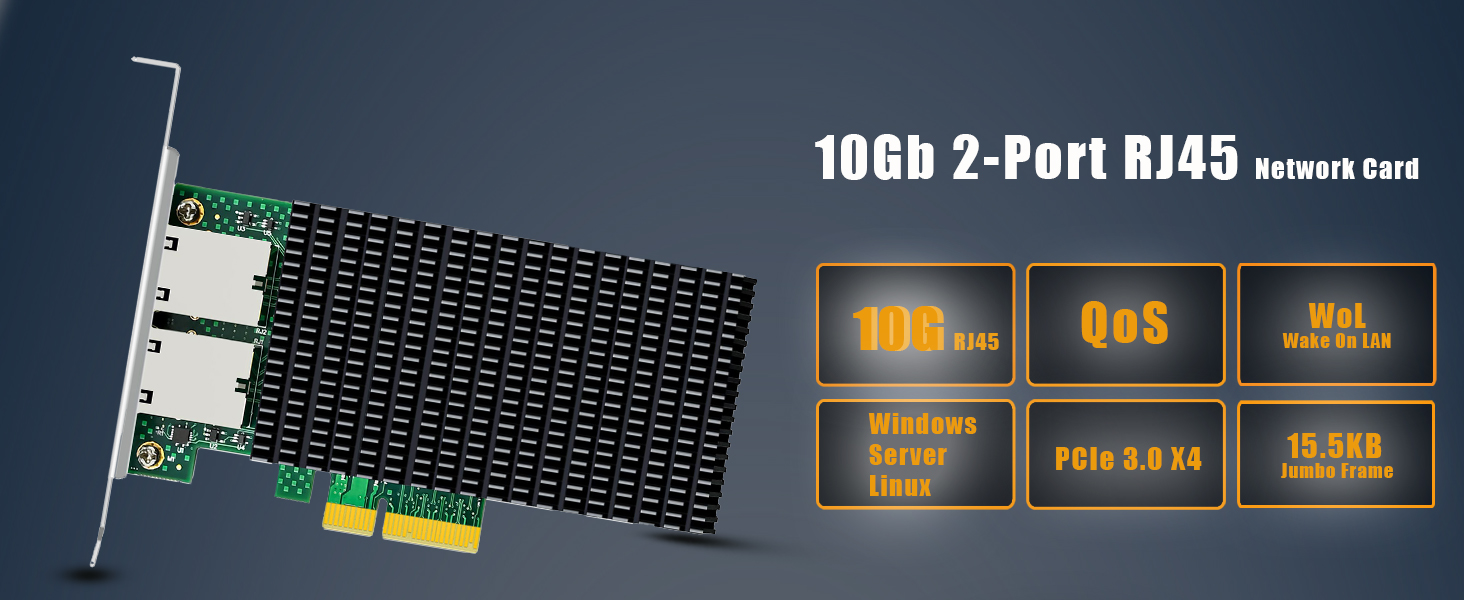 10Gb Network Card
