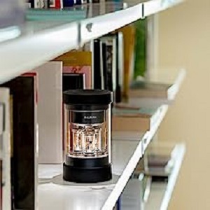 image for this item