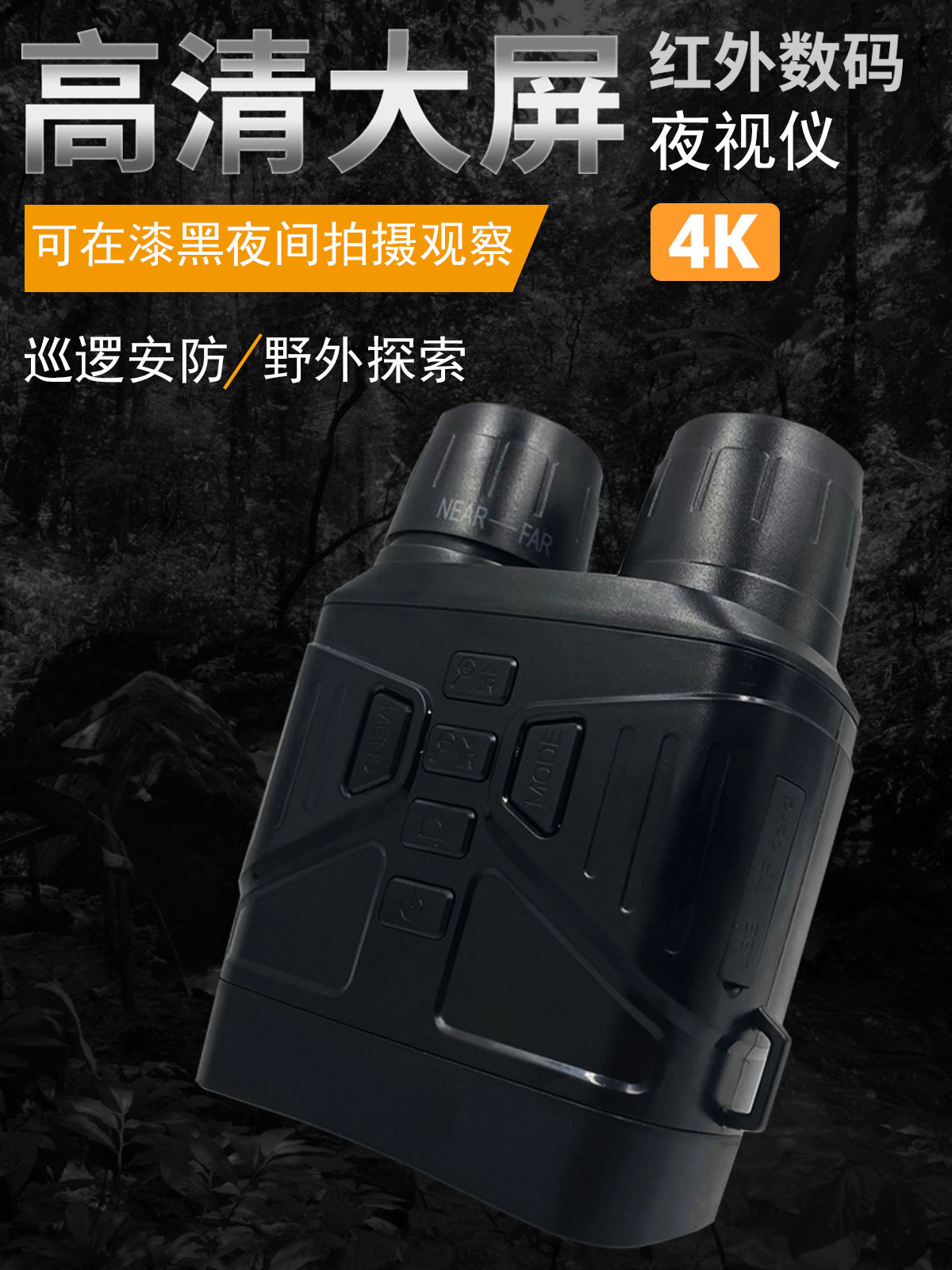 image for this item