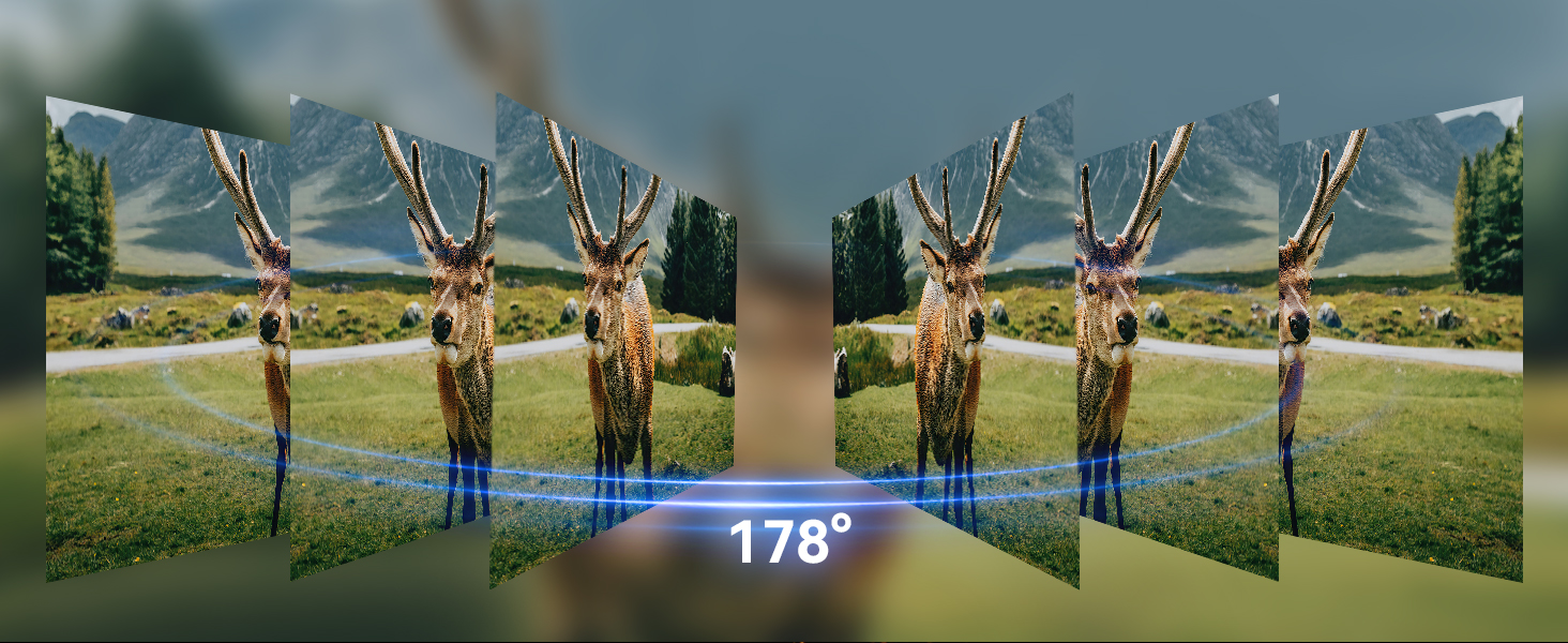 2K MONITOR