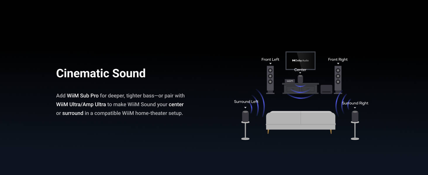 WiiM Sound Smart Speaker