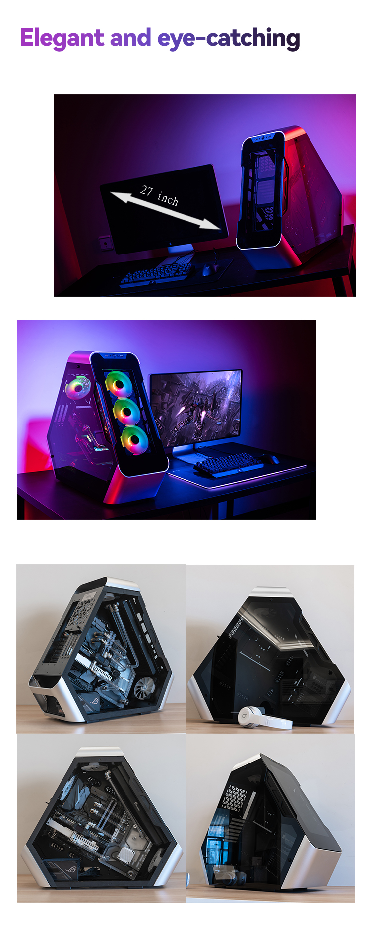 E-sports case