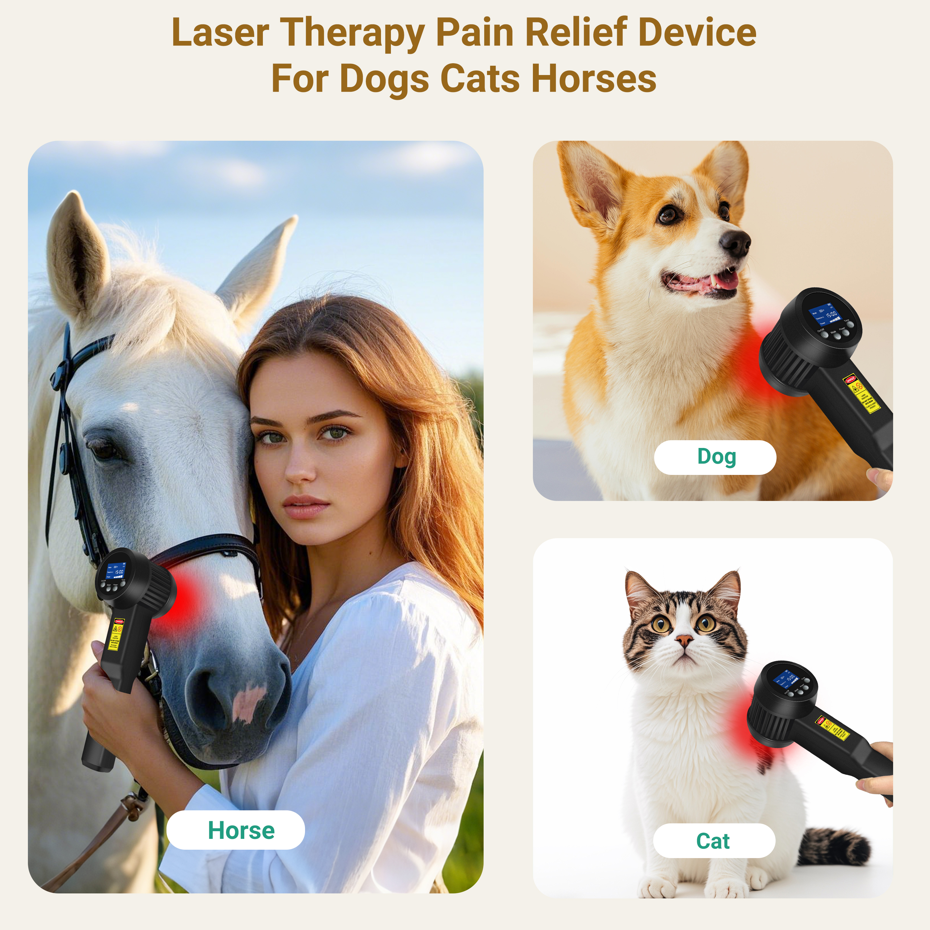 Pet-Specific Conditions