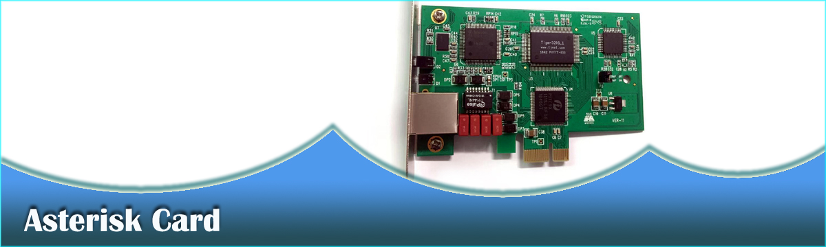 Asterisk card te110p