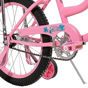 Drivetrain and Chainguard