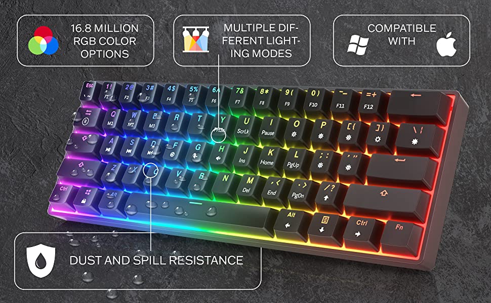 image for this item