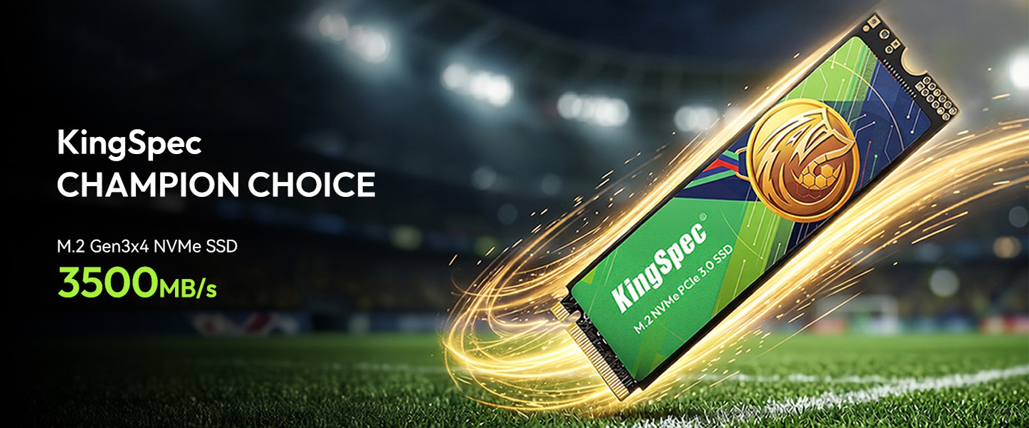 KingSpec CHAMPION CHOICE