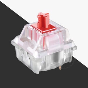 image for this item
