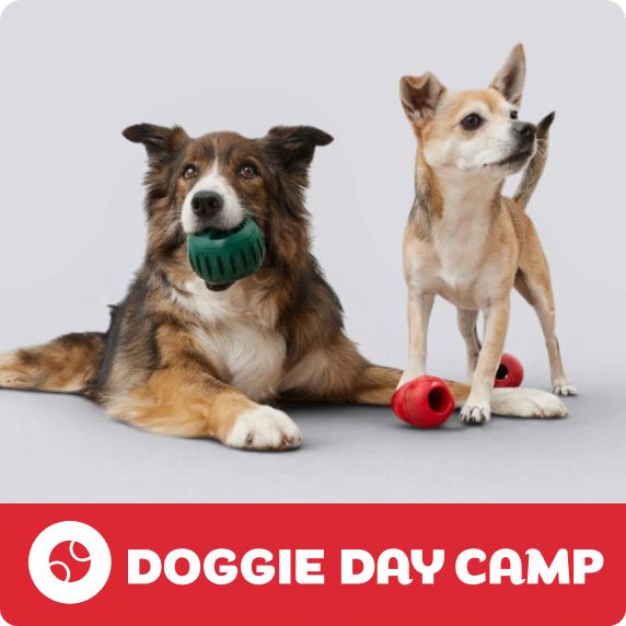 PetSmart E-Gift Card