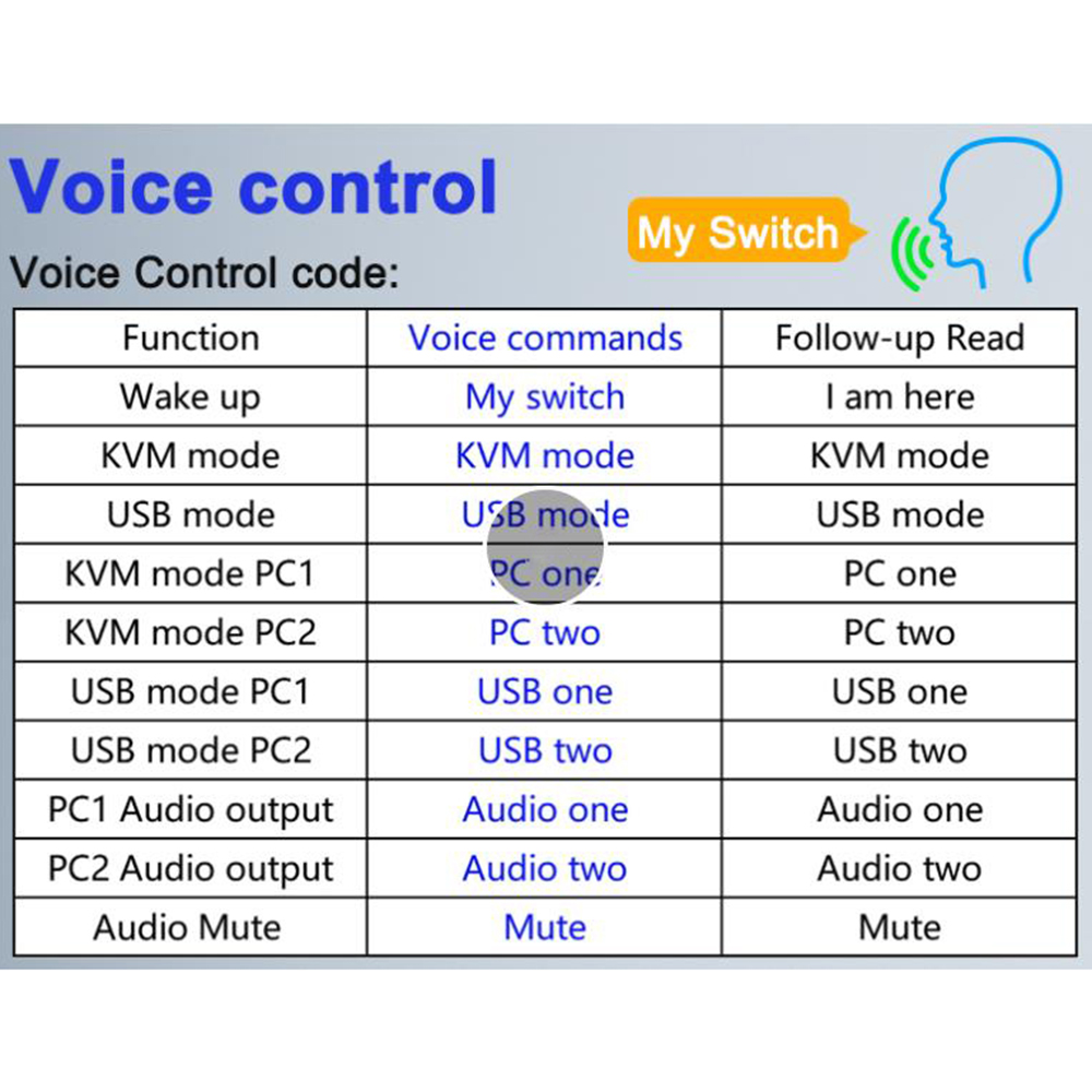 Voice Switch