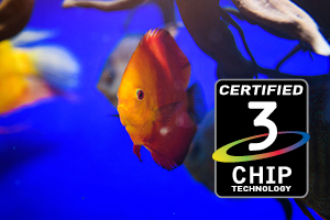 PowerLite E24 3,600 Lumens 3LCD Classroom Projector