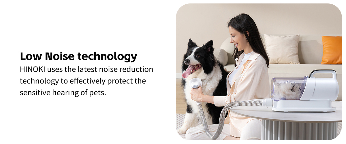 Low Noise technology