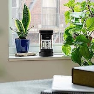 image for this item
