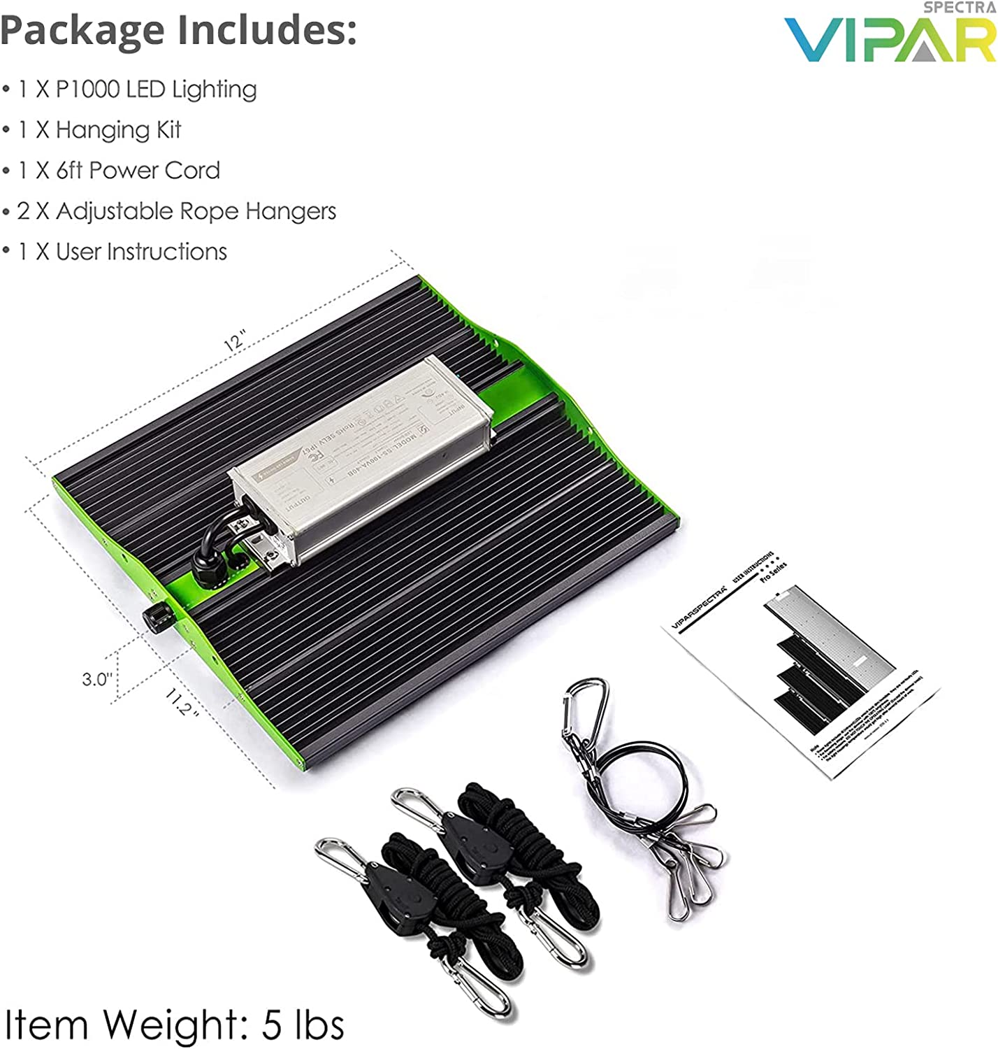 image for this item