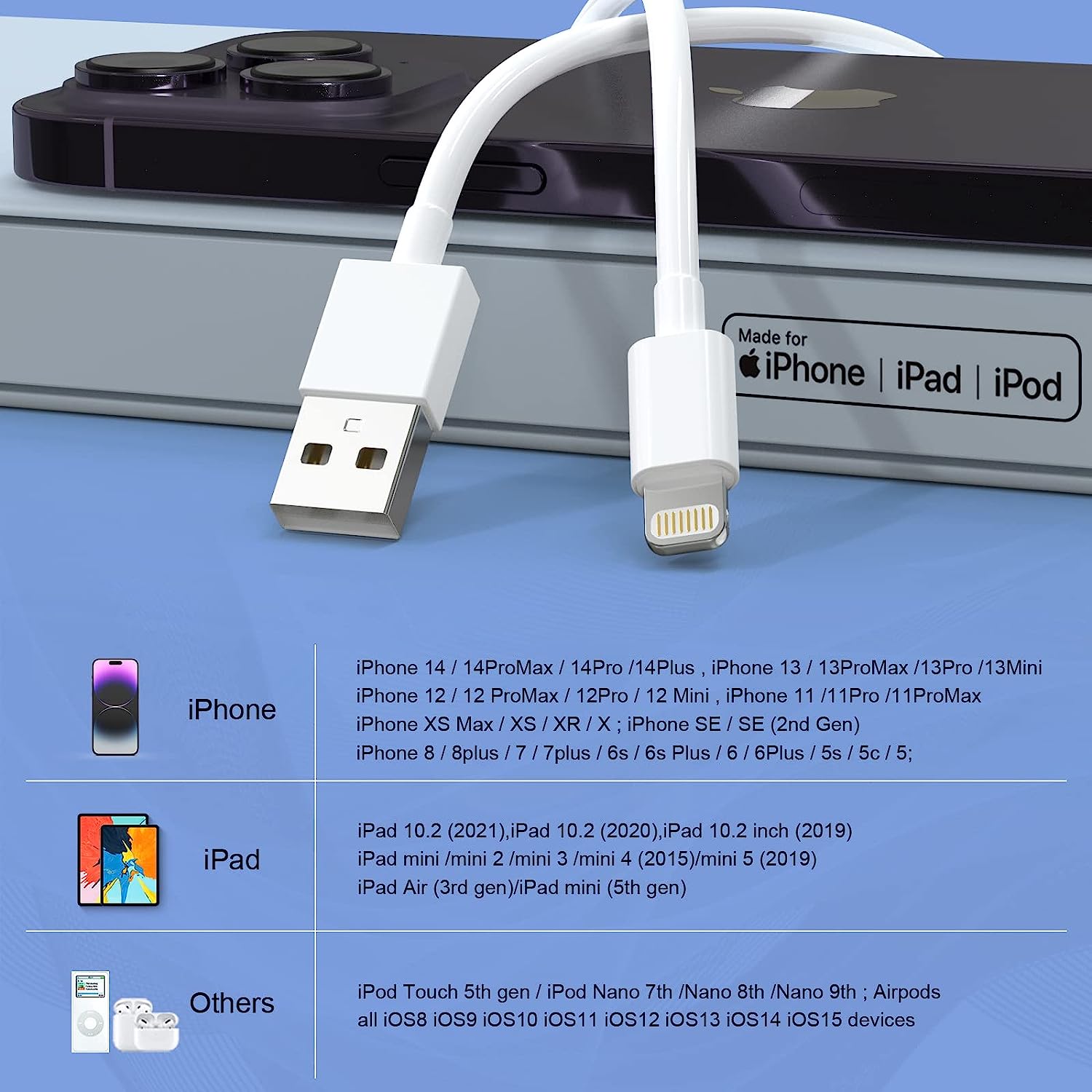 iPhone Charger