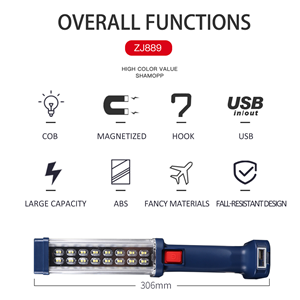 image for this item