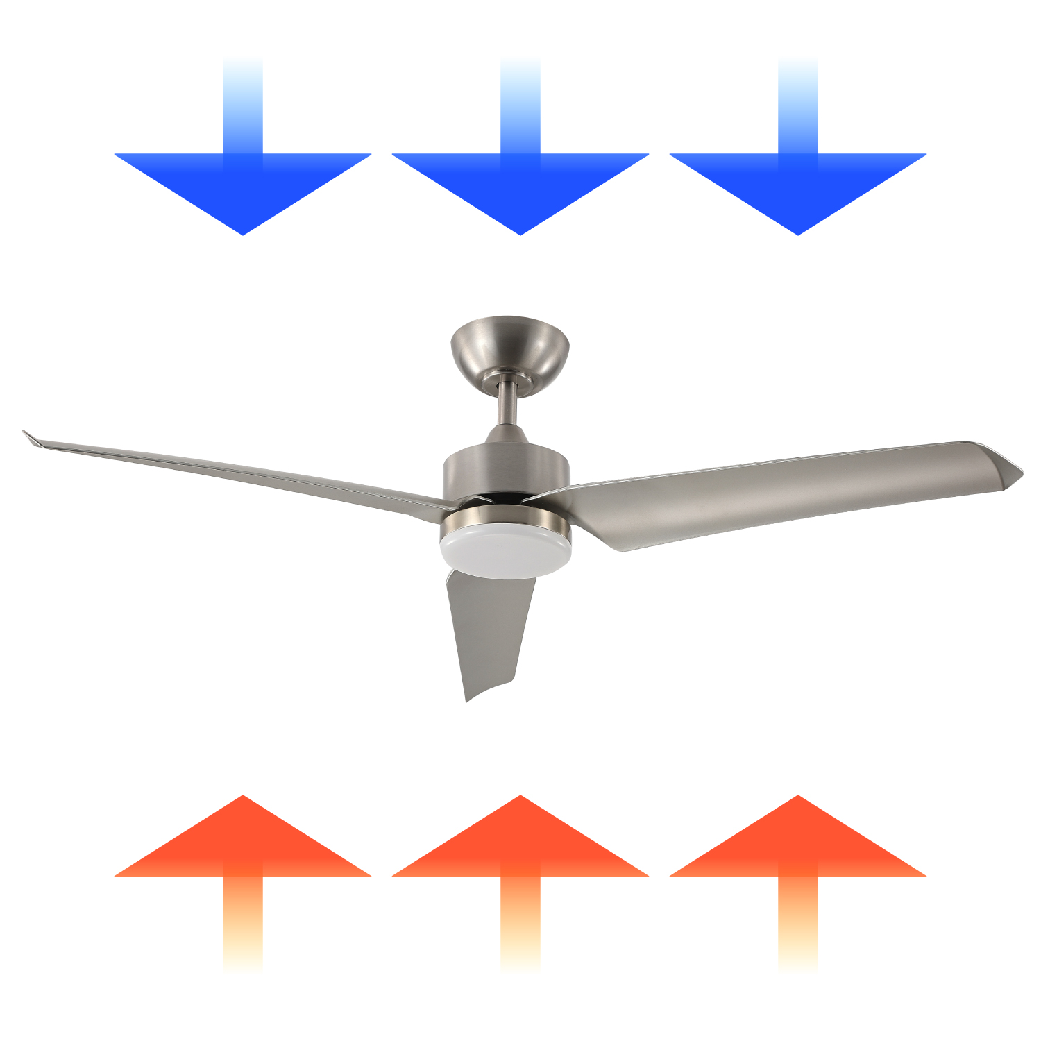 image for this item
