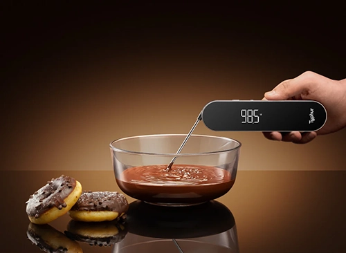 Typhur InstaProbe Core Meat Thermometer 