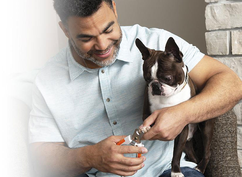 WAHL Dog Nail Clipper