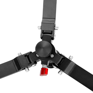image for this item