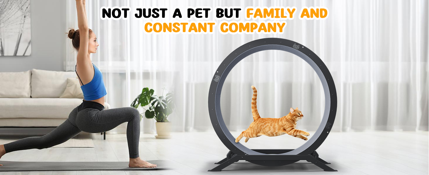 GTPLAYER Cat Wheels