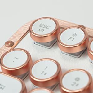 image for this item