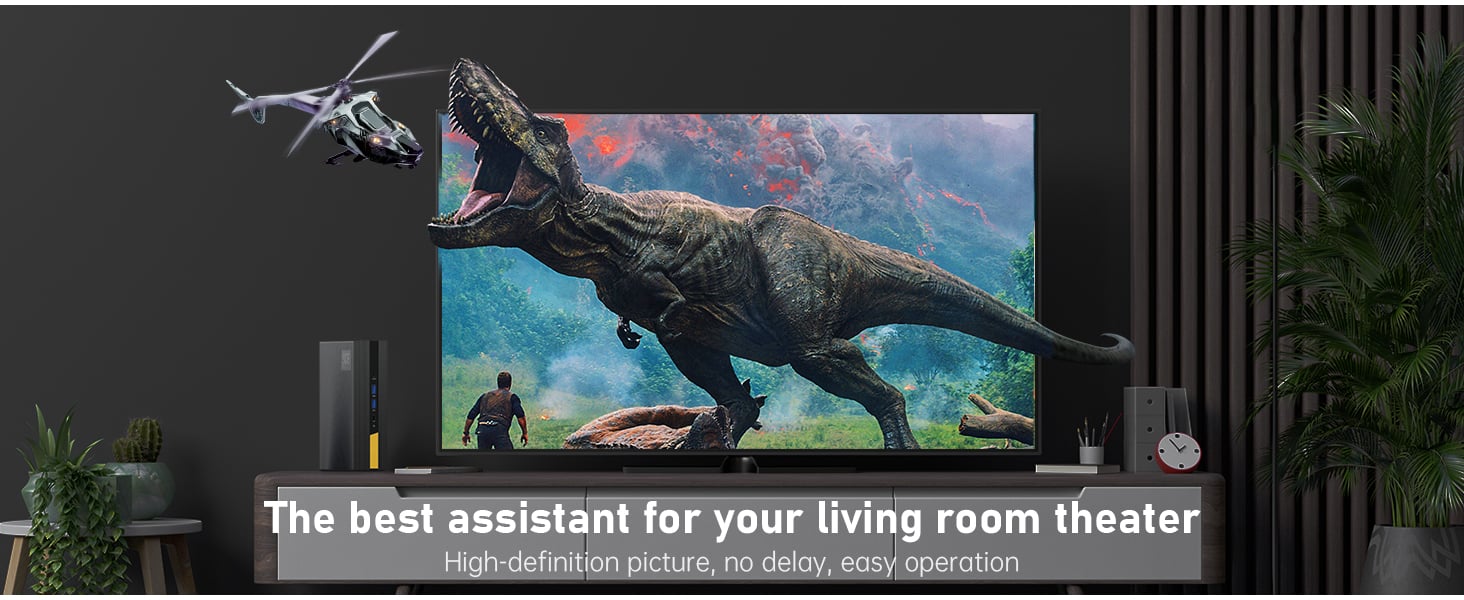 LIVING ROOM THEATER