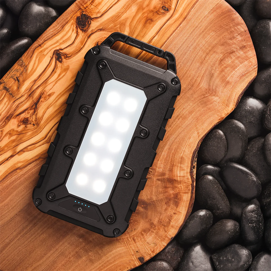 Lion Energy Lion Cub Portable Power Bank for phone, earbuds, tablets