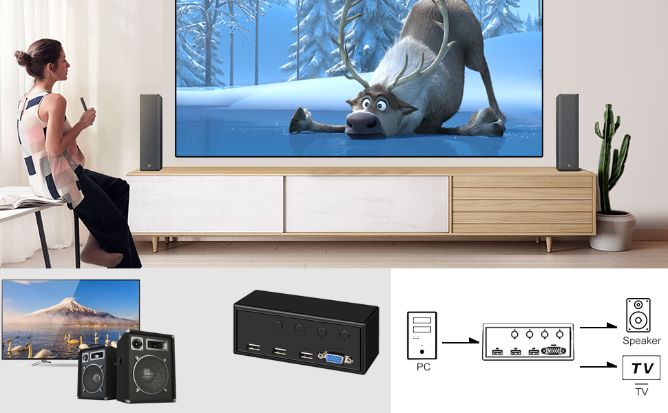 VGA KVM Switch