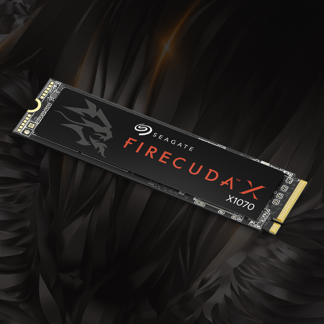 Seagate FireCuda X1070 M.2 2280 Internal Solid State Drive 