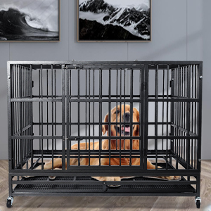 image for this item