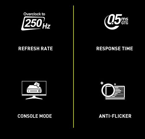 MSI MAG255XFV Gaming Computer Monitor