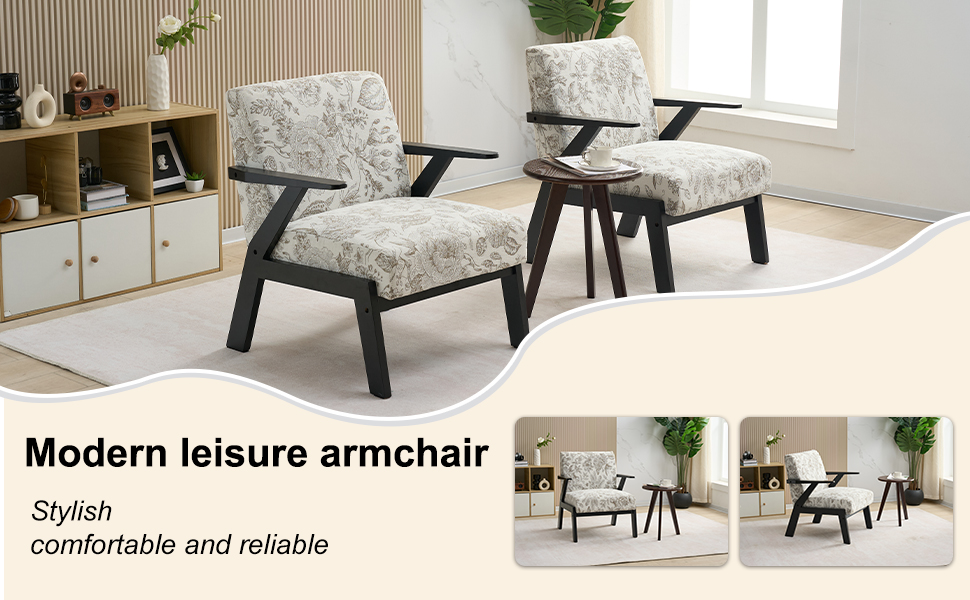 modern leisure chair