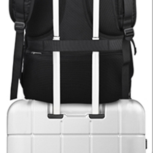 image for this item