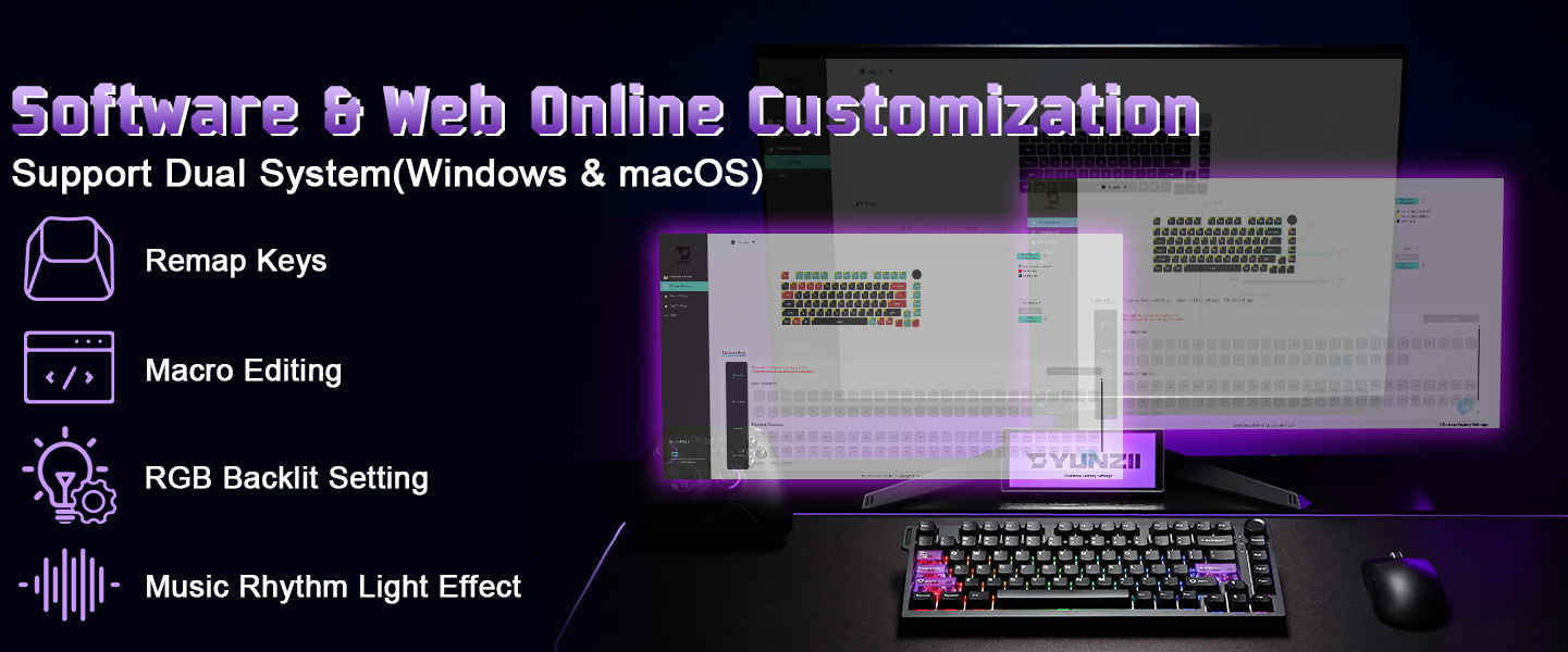 Software & Web Online Customization