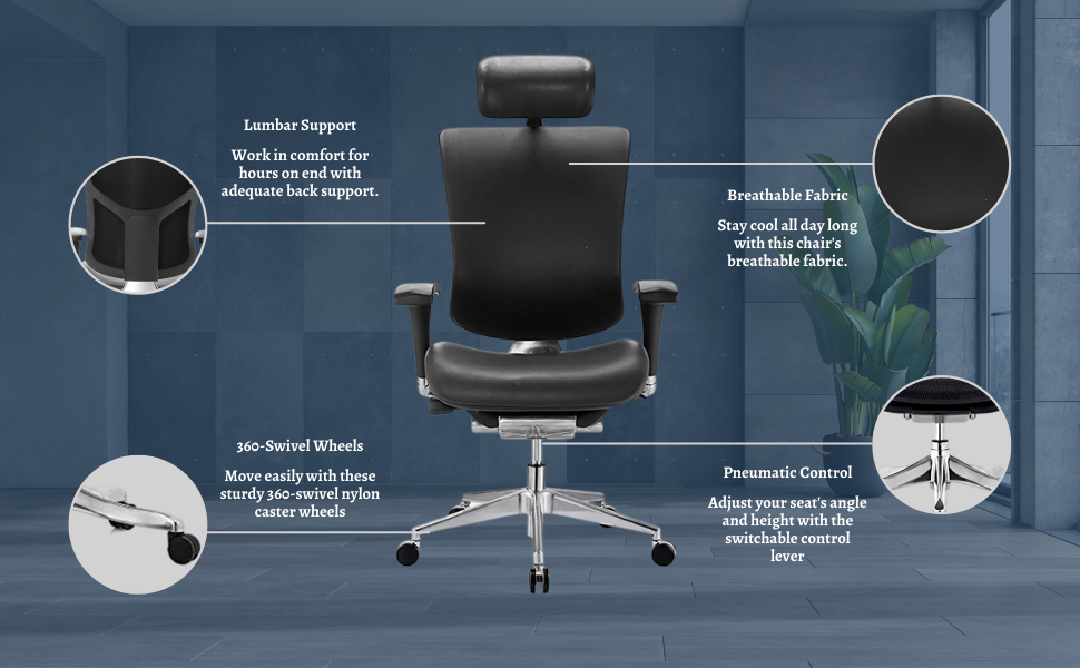 image for this item