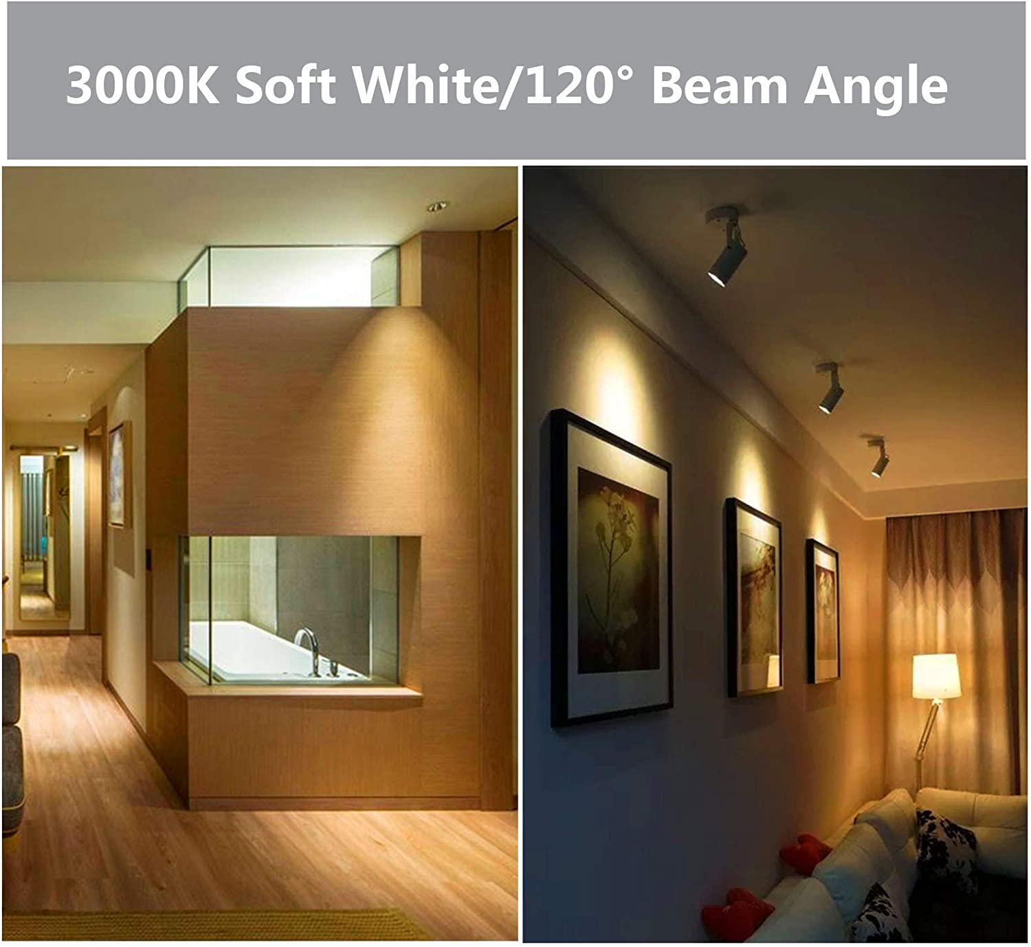 Dimmable Flood Light