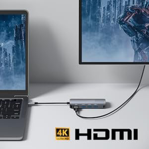 4K HDMI Port HDMI output supports video resolutions up to 4K@30Hz UHD or 1080P@60Hz to an external s