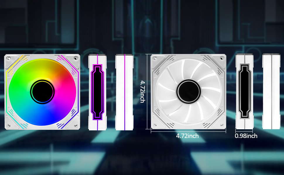 image for this item