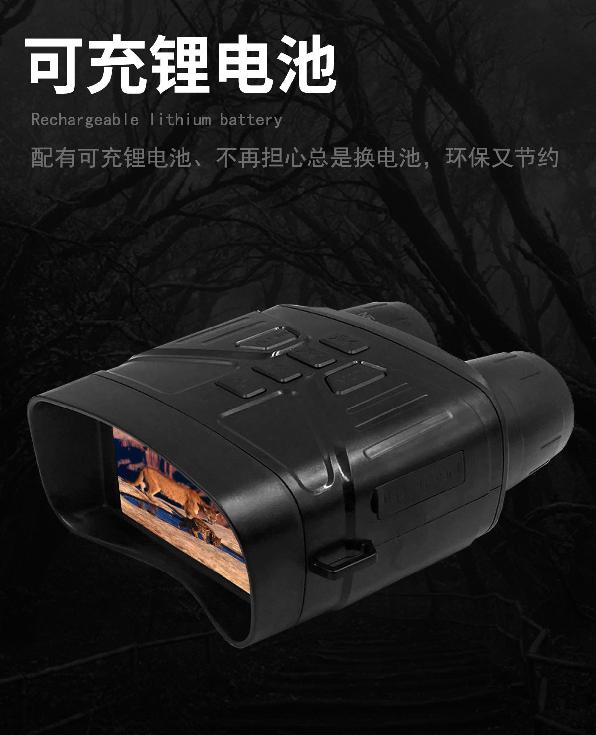 image for this item