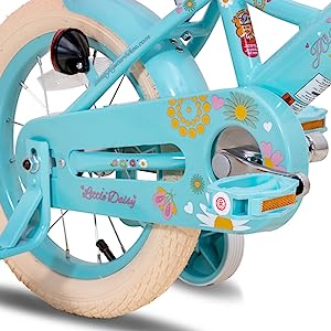 Drivetrain and Chain Guard