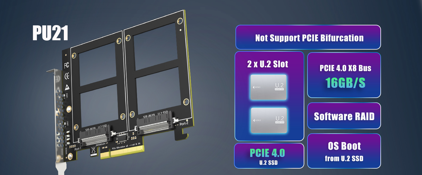 Dual U.2 to PCIe 4.0 X8