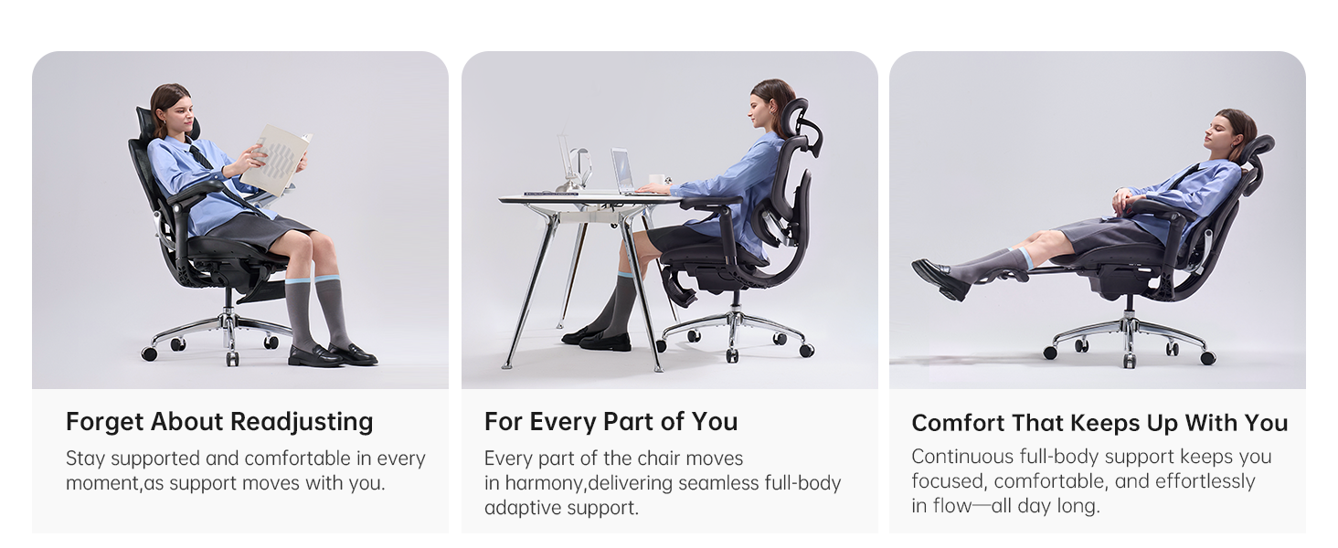 Ergonomic Office Chair