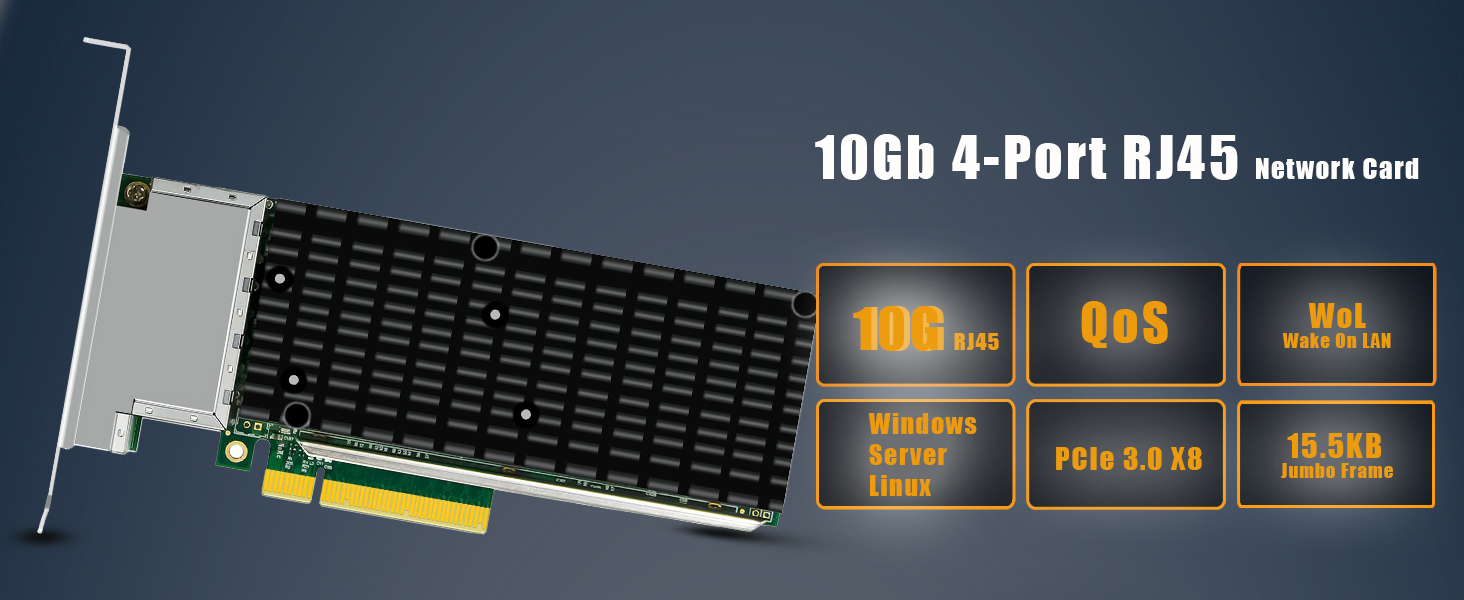10Gb Network Card