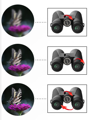 binoculars for hunting
