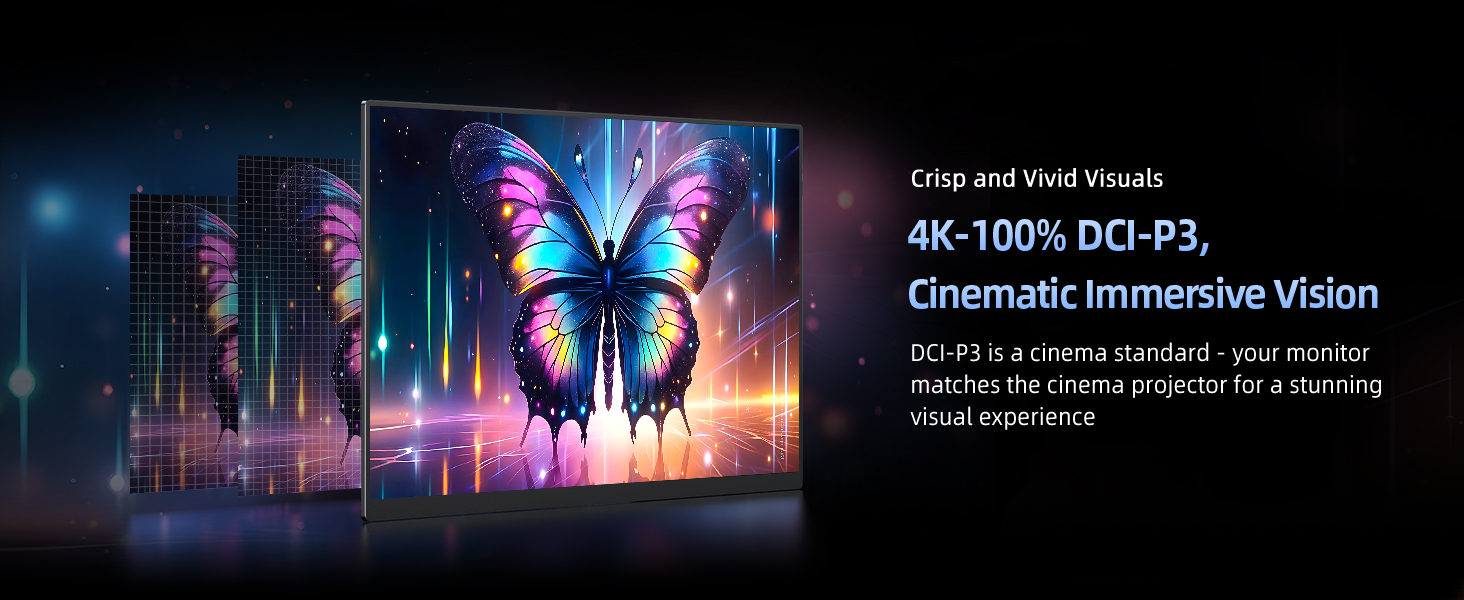 4K Monitor
